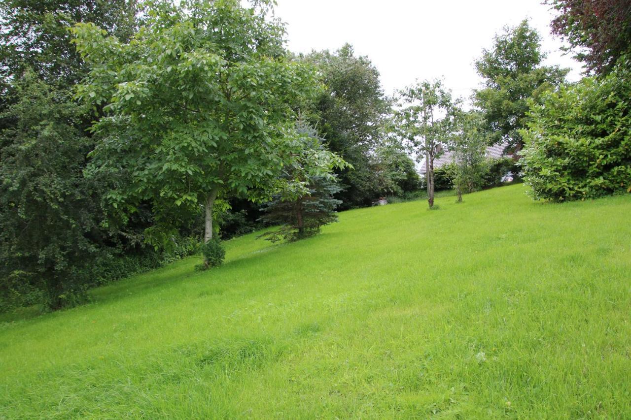 Ferienhaus Eifelnest Scheid  Esterno foto